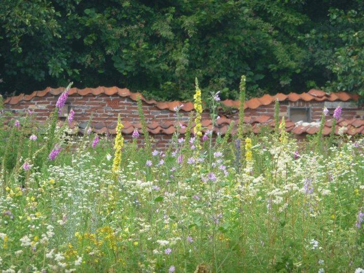 Bed En Breakfast Het Loo Bergeijk Zewnętrze zdjęcie