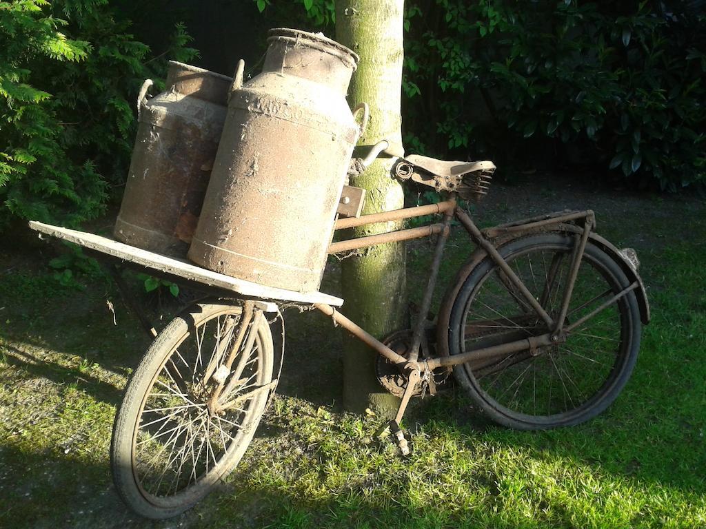 Bed En Breakfast Het Loo Bergeijk Zewnętrze zdjęcie